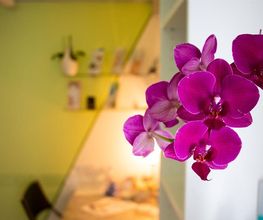 KosmetikStudio BeautyLine Bild 2