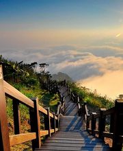 Lenzi Estelle image 3