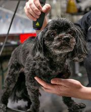 Wewoka Animal Hospital image 6