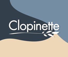 Clopinette Cigarette Electronique image 1