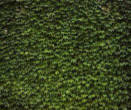SULA Gartenbau GmbH Bild 8