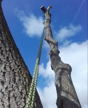 Gestin Environnement image 5