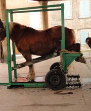 Henrotay Gilles image 2