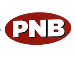 PNB image 7