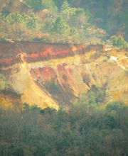 F & F Immobilier image 2