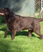 Tanja Wiedenmann Bild 14