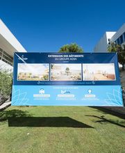 Prim Concept image 2