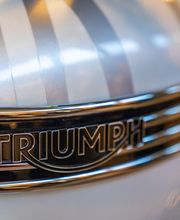 Triumph Bordeaux image 15