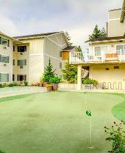 Courtyard Fountains image 6