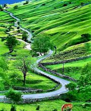 Almosnino Caroline image 17