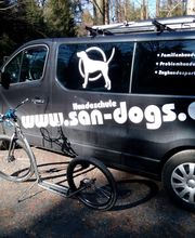 Hundeschule San-Dogs Bild 1