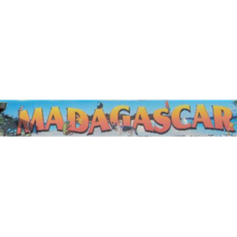 Madagascar logo