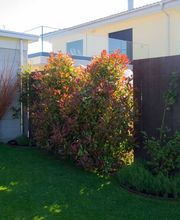 Gartenbau Felsberg GmbH Bild 7