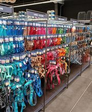 Tom&Co Cholet - Animalerie - Toilettage - Dogwash image 4