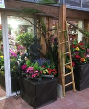 Pépinière Côté Jardin image 17