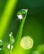 Praxis für Naturheilkunde - Mario Bossert Bild 1