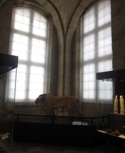 Deco Stores et Fermetures image 15