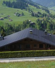 Max Brand Bedachungen AG