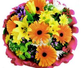 Rose Flor imagen 18