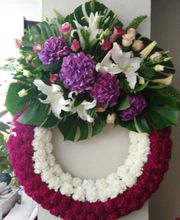 corona-morada-02.jpg