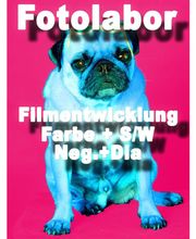 Foto Fehling Inh. Klaus Fehling Bild 4