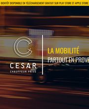 César - Chauffeur Privé image 2