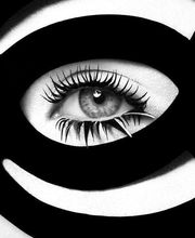 Optique Portal image 14
