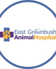 East Greenbush Animal Hospital image 1