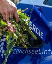 SwissFarmerPower Inwil AG Bild 9