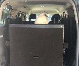 NMS Taxi Bild 8