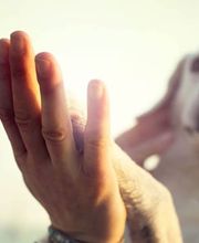 Tierarzt Verhaltenstherapie Hunde Bild 1