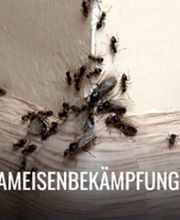 PCS GmbH (APEX) Bild 1