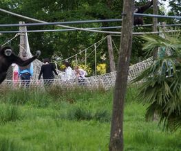 Spaycific'Zoo image 6