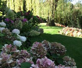 Royal Jardin sarl Bild 6
