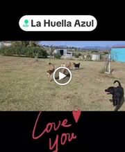 La Huella Azul S.L. imagen 1