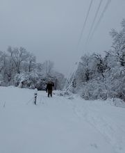 Ségala Fils SARL image 1