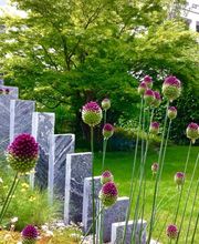 Nideroest Gärtner AG Bild 2