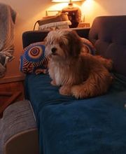 Domaine Fasalie image 3