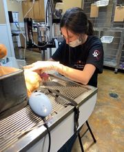 Hood Veterinary Hospital image 3