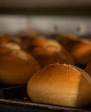 Stadtbäckerei Engelbrecht Bild 8