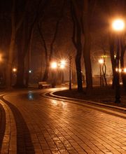 T.C.P.A Travaux de Canalisations Patinier André image 1