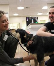 Valley Animal Hospital image 4