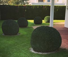 Qelaj Gartenbau GmbH Bild 1