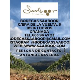 logo-sabor.png