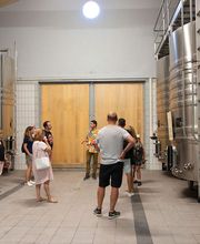 Château Castera image 3