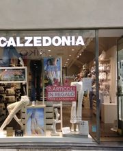 Calzedonia immagine 1