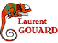 Monsieur Gouard Laurent