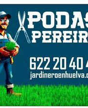 Podas y talas en altura, podas de palmeras, PODAS PEREIRA imagen 1