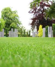 Ribi Gartenbau GmbH Bild 11