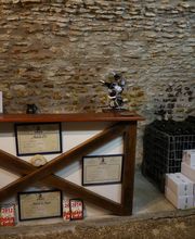 Lejus Arnaud image 4